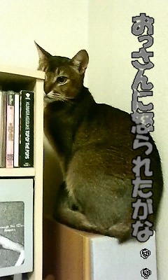 200805302348000.jpg