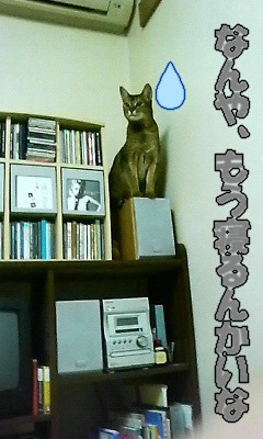200805302352000.jpg