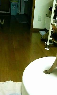 200805312116000.jpg
