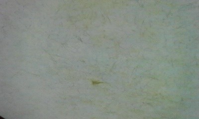 200806052135000.jpg