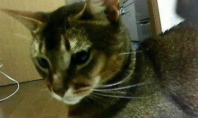 200806052139000.jpg