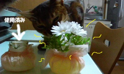200806061837000.jpg