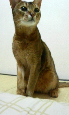 200805300015000.jpg