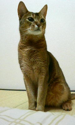 200805300015001.jpg