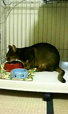 200805300017000.jpg